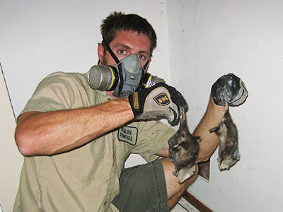 Riverside dead animal